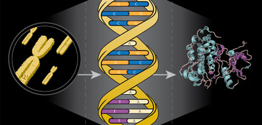 Proteomics Core Facility